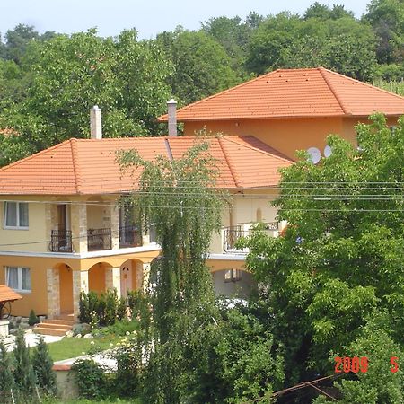 Janus Apartman Sárvár Zewnętrze zdjęcie